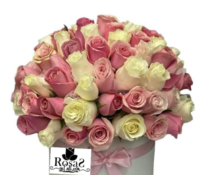 Nacimiento flores en cali