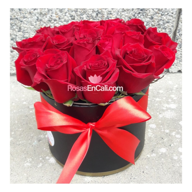 Cilindro rosa roja en cali