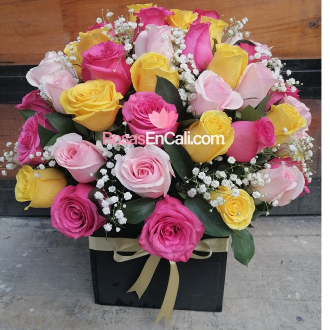 Cubo 50 rosas surtidas