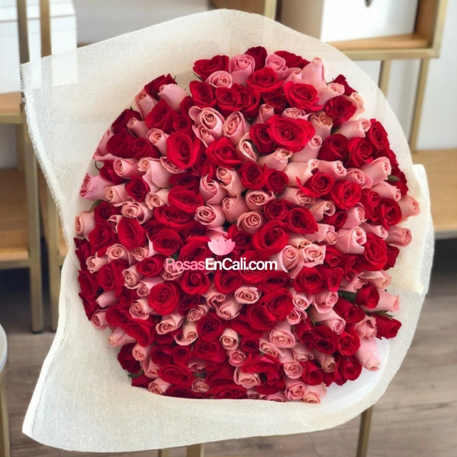 Bouquet x200 rosas