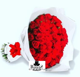 Bouquet x50 rosas rojas en cali