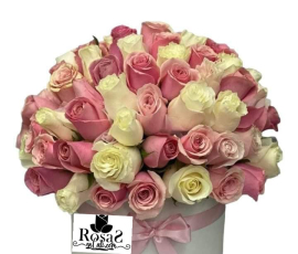 Nacimiento flores en cali