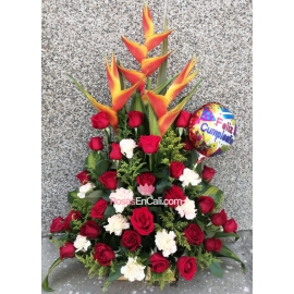 Rosas Rojas y  clavel en Cali