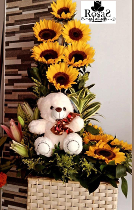 Tierno Girasol en Cali