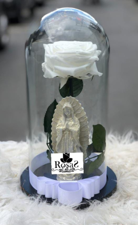 Belleza Celestial floristerías en Cali