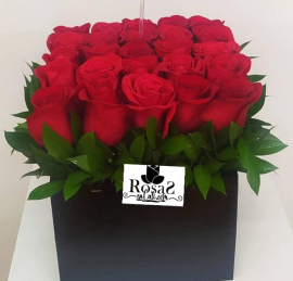 Sembrado de 25 rosas