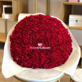 Bouquet imponente x500 rosas